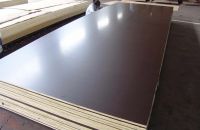 Một Số Đặt Tính Về Ván Ép Coppha Phủ Phim Tại Việt Mỹ Anh