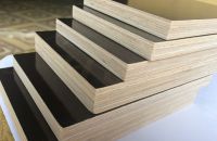 Cấu Tạo Ván Ép Cốp Pha Phủ Phim