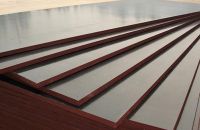 Ván ép coppha có tốt không?