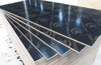 Ứng Dụng Và Giá Trị Của Ván Ép Coppha Trong Xây Dựng