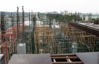 Ván ép coppha xây dựng