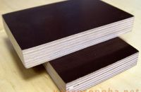 Các loại ván ép sử dụng làm coppha phổ biến và cách chọn loại ván ép phù hợp