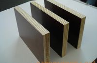 Tại sao nên sử dụng ván ép coppha cho công trình xây dựng hiện nay