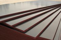 Tầm Quan Tọng Của Ván Ép Coppha Trong Xây Dựng