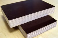 Keo chịu nước dùng trong ván ép phủ phim là gì?