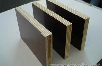 Ván ép coppha chịu nước là gì?