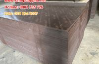 Bí quyết chọn ván ép phủ phim "Chuẩn" – Tối ưu chi phí cho mọi công trình